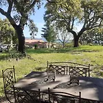 Casa Da Vinha بيت للعطل *