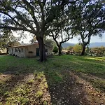Casa Da Vinha بيت للعطل Castelo Novo