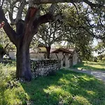 Casa Da Vinha بيت للعطل *
