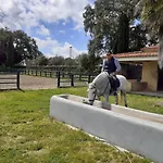 بيت للعطل Casa Da Vinha Castelo Novo