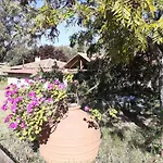 Casa Da Vinha *