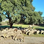 Casa Da Vinha *