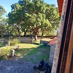 Casa Da Vinha * Castelo Novo