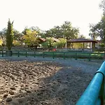 Casa de Férias Casa Da Vinha *