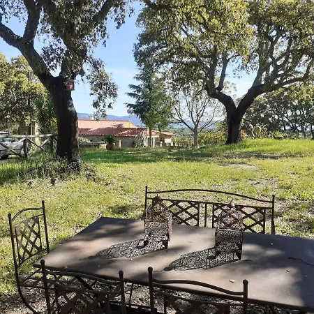 Casa Da Vinha Hébergement de vacances *