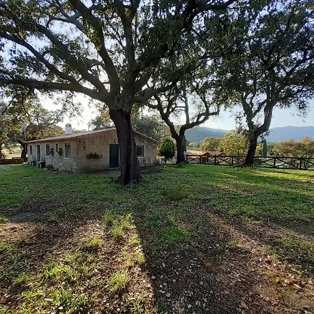 Casa Da Vinha בית נופש קאסטלו נובו