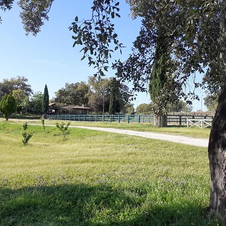 Casa Da Vinha Hébergement de vacances *