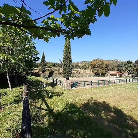 Hébergement de vacances Casa Da Vinha