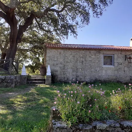 Casa Da Vinha Vakantiehuis Castelo Novo