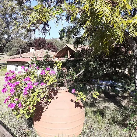 Casa Da Vinha *