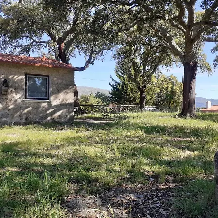 Casa Da Vinha * Castelo Novo