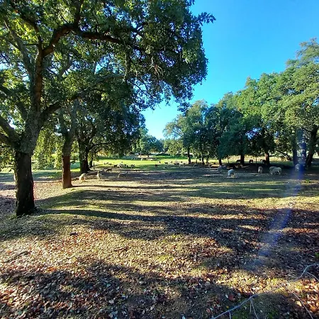 Hébergement de vacances Casa Da Vinha