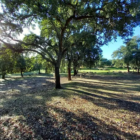 Feriehus Casa Da Vinha Castelo Novo