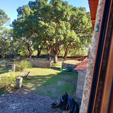 Casa Da Vinha * Castelo Novo
