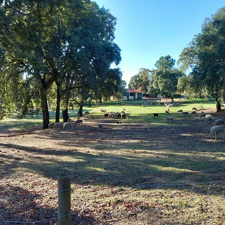 Hébergement de vacances Casa Da Vinha