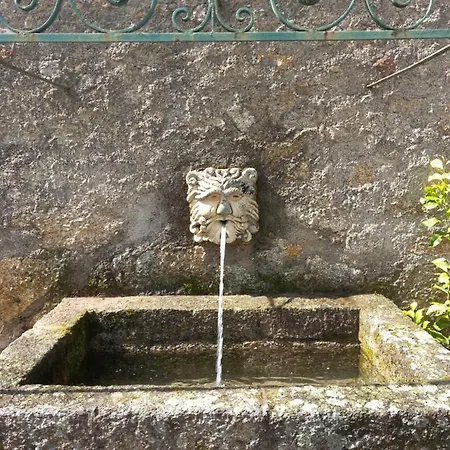 Casa Da Vinha בית נופש