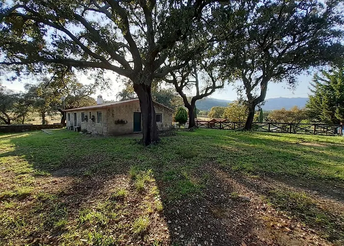 Casa Da Vinha Feriehus Castelo Novo