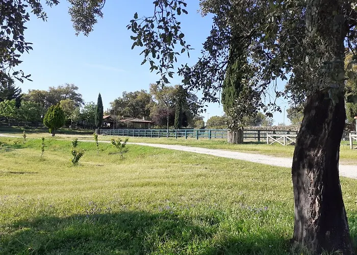 Casa Da Vinha Casa de Férias *