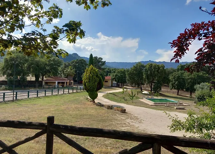 Casa Da Vinha * Castelo Novo