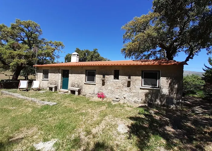 Feriehus Casa Da Vinha Castelo Novo