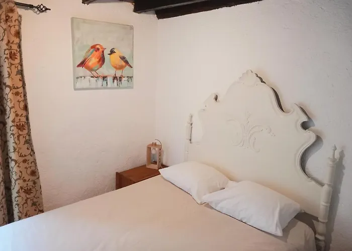 Casa Da Vinha * Castelo Novo