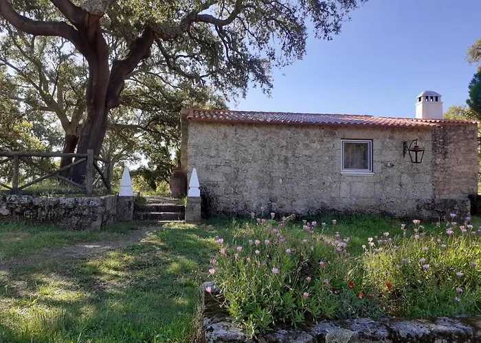 Casa Da Vinha Casa de Férias Castelo Novo