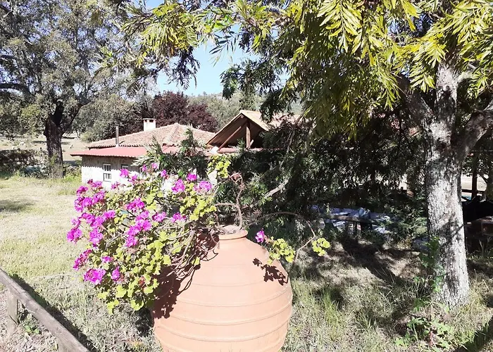 Casa Da Vinha *