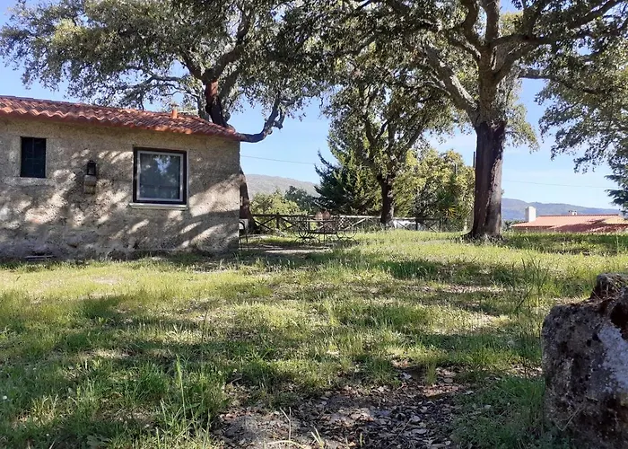 Casa Da Vinha * Castelo Novo