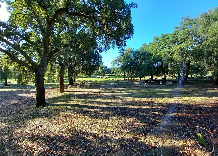 Feriehus Casa Da Vinha