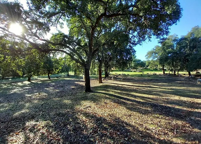 Feriehus Casa Da Vinha Castelo Novo