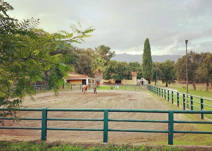 Casa Da Vinha Casa de Férias Castelo Novo
