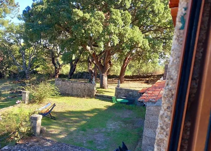 Casa Da Vinha * Castelo Novo