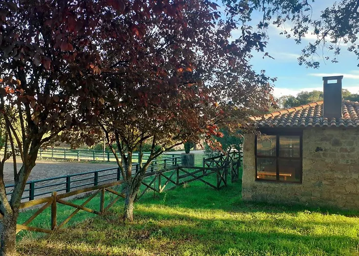 Casa Da Vinha *