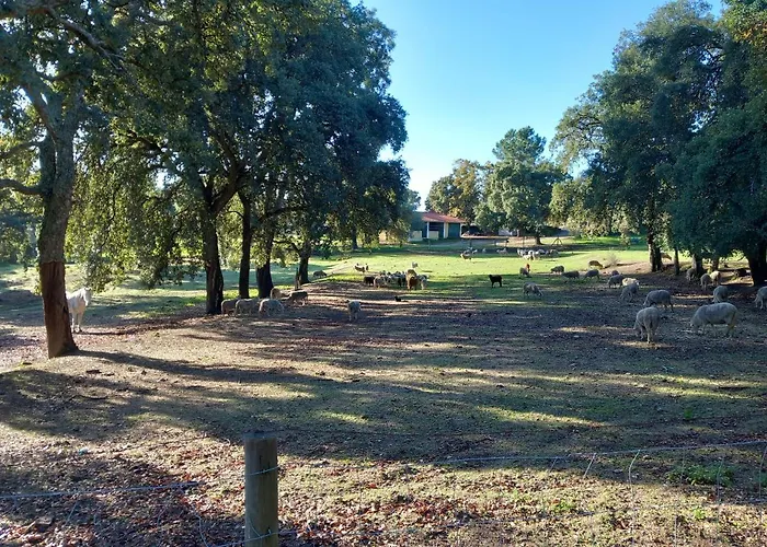 Casa de Férias Casa Da Vinha