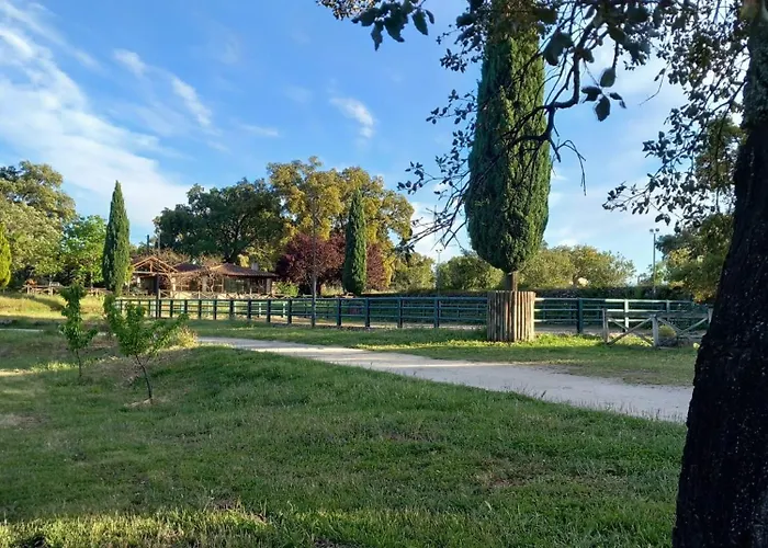 Casa Da Vinha * Castelo Novo
