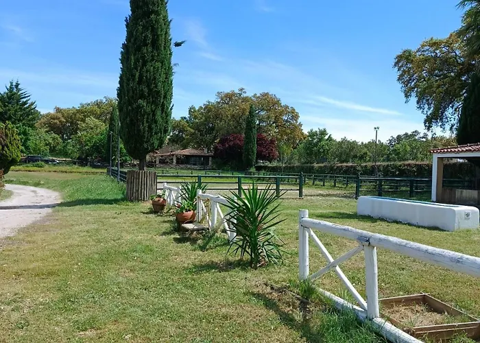 Casa Da Vinha Castelo Novo