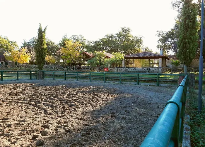 Casa de Férias Casa Da Vinha *